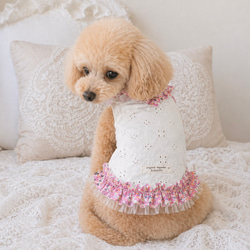 犬服 タンクトップ のおすすめ人気通販 検索結果｜Creema(クリーマ