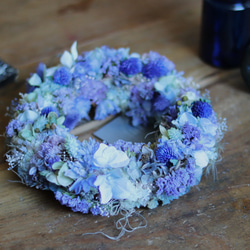 【SALE】シンボルツリーにも♡常緑エニシダの春らしい寄せ植え SALE】シンボルツリーにも♡常緑エニシダの春らしい寄せ植え 多肉植物