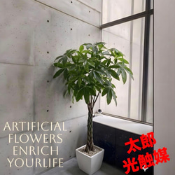 光触媒 人工観葉植物 ウォールグリーン 造花 インテリア oモンステラ