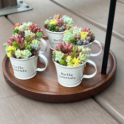 多肉植物 寄せ植え そのまま飾れる‪ꕤ︎︎·͜· ぷっくり陶器鉢ピンク‬