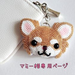 垂れ耳 チワワちゃん ブラックタン ホワイト お鼻はガーネット 金具の