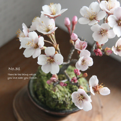 桜 盆栽 のおすすめ人気通販 検索結果｜Creema(クリーマ) ハンドメイド