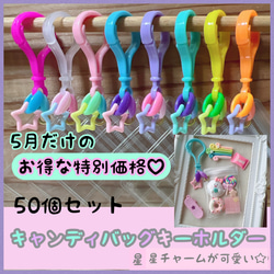 個包装 キャンディバッグ キーホルダー 4×6cm 100個セット ミニミニ