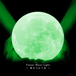 Blue Moon Light - 幸せを呼ぶ月 -｜月ライト(大)【5周年記念限定