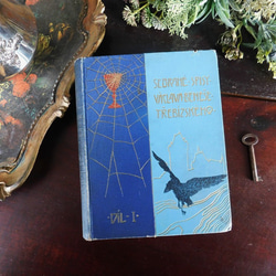 L882洋書古書1947年発行儚げな雰囲気がとても素敵なドイツのアンティーク絵本 1908年 英国アンティーク児童書-美しいカラー&モノクロ挿絵を眺める