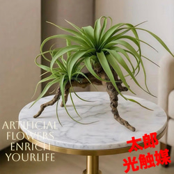 光触媒 人工観葉植物 ウォールグリーン フェイク フラワー バンブー竹