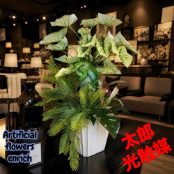 光触媒 人工観葉植物 ウォールグリーン フェイクグリーン ガジュマル