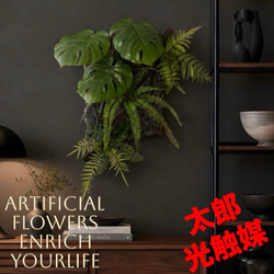 光触媒 人工観葉植物 ウォールグリーン フェイクグリーン ガジュマル