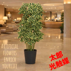 光触媒 人工観葉植物 ウォールグリーン フェイクグリーン ガジュマル