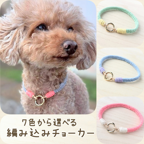 犬用編み込みチョーカー パラコード×コットン(マクラメ風) 7色から