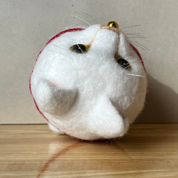 たまご型猫(白)(大)置物 10枚目の画像