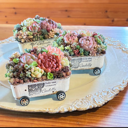 リメ缶 リメ鉢 アンティーク風 ハンドメイド 多肉植物 midorin 通販
