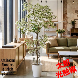 光触媒 人工観葉植物 ウォールグリーン フェイクグリーン ガジュマル