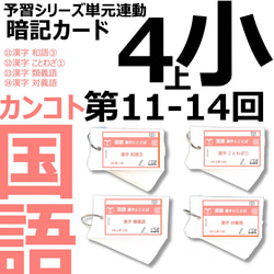 中学受験 暗記カード【理科 生物 全セット】難易度小学5年生向け