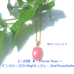 k14gf（ゴールドフィルド） ペンダントトップ の人気通販｜Creema