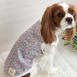 犬服 【ダックスSサイズ】 軽やかパーカー Wガーゼ生地 カラー：デニム