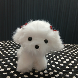 マルチーズ ぬいぐるみ のおすすめ人気通販 検索結果｜Creema(クリーマ