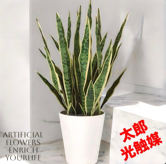 光触媒　人工観葉植物　ウォールグリーン　フェイクグリーン　サンスベリア75 光触媒 人工観葉植物 ウォールグリーン フェイクグリーン サンスベリア