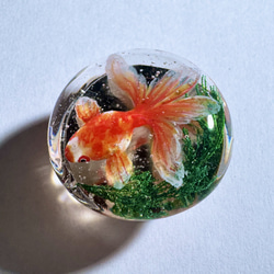 レジン 金魚 のおすすめ人気通販 検索結果｜Creema(クリーマ