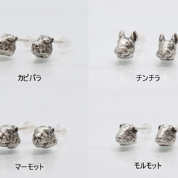 ハムスター アクセサリー・ジュエリー の人気通販｜Creema(クリーマ