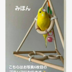 バード アスレチック のおすすめ人気通販 検索結果｜Creema(クリーマ