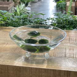 光触媒 人工観葉植物 ウォールグリーン フェイクグリーン ガジュマル