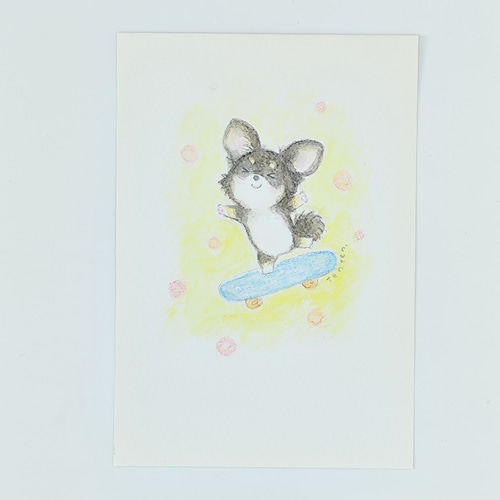 原画】スケボーチワワくん 黒チワワ かわいい犬 癒し系 イラスト