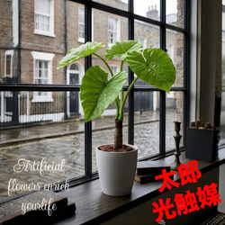 光触媒 人工観葉植物 ウォールグリーン フェイクグリーン フラワー
