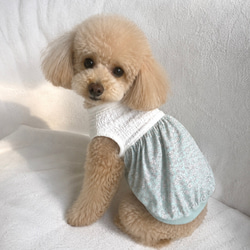 犬服 kokachiの販売中作品一覧 | ハンドメイド通販・販売のCreema