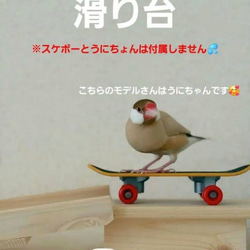 gc25 ミニアスレチック 止まり木 バードトイ フォージングトイ 文鳥