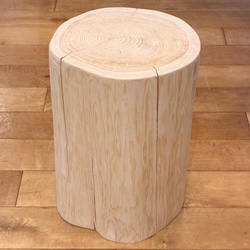 Pet Table Maki】 小型犬用 No.1689 おもちゃ・ペット小物 Wood