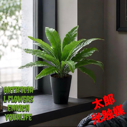 光触媒 人工観葉植物 ウォールグリーン フェイクグリーン ウッド