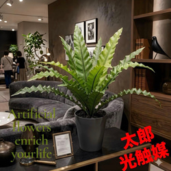 光触媒 人工観葉植物 ウォールグリーン フェイクグリーン ウッド