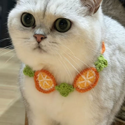 EMY's Gallery 猫襟 ワンちゃん襟 首輪 カギ編み 犬襟 つけ襟