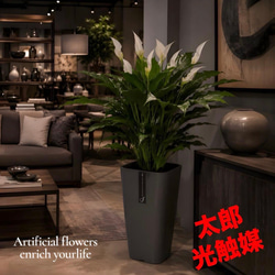 光触媒 人工観葉植物 ウォールグリーン フェイクグリーン ウッド