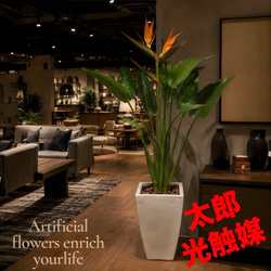 光触媒　人工観葉植物　ウォールグリーン　フェイクグリーン　ガジュマル120FST 光触媒 人工観葉植物 ウォールグリーン フェイクグリーン ガジュマル