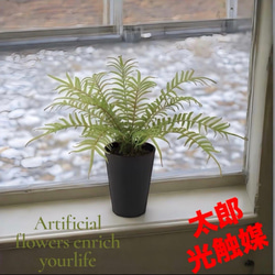 光触媒 人工観葉植物 ウォールグリーン フェイクグリーン ユーカリ高さ