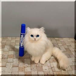 チンチラ 猫 のおすすめ人気通販 検索結果｜Creema(クリーマ