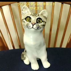 ウィンスタンレイキャット（ケンジントンキャット）サイズ3