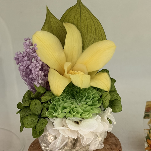 ガラスドーム仏花ミニ プリザーブドフラワー 虹工房(仏花専門店) 通販