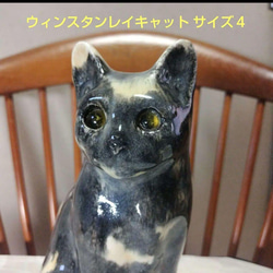 シャム猫、ウィンスタンレイキャット（ケンジントンキャット）サイズ3