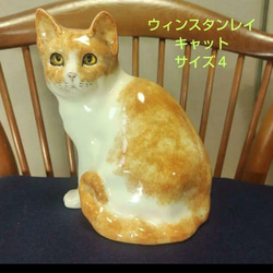 ウィンスタンレイキャット（ケンジントンキャット）サイズ3