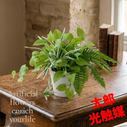 光触媒 人工観葉植物 ウォールグリーン フェイクグリーン ユーカリ高さ