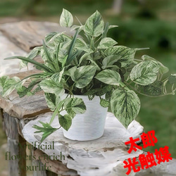 光触媒 人工観葉植物 ウォールグリーン フェイクグリーン ガジュマル