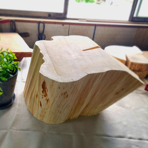岐阜｜天然アロマ｜ひのきの切株テーブル｜根元｜ 特大 椅子（チェアー