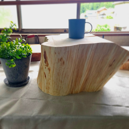 岐阜｜天然アロマ｜ひのきの切株テーブル｜根元｜ 特大 岐阜｜天然アロマ｜ひのきの切株テーブル｜根元｜ 特大 椅子（チェアー