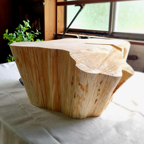 岐阜｜天然アロマ｜ひのきの切株テーブル｜根元｜ 特大 岐阜｜天然アロマ｜ひのきの切株テーブル｜根元｜ 特大 椅子（チェアー