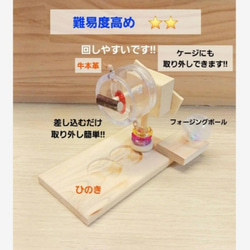 112⭐ 滑り台大サイズ‼ バードトイ インコ 文鳥 スケボー おもちゃ