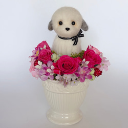 トイプードル（ホワイト 白）の羊毛フェルト 犬 羊毛フェルト chai