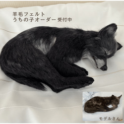 犬猫専門 羊毛フェルトオーダーメイド 羊毛フェルト Kuki Felt 通販